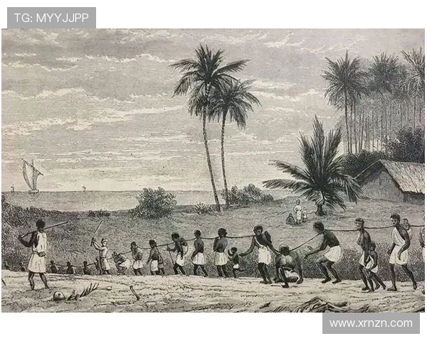 尘封的记忆，农场主三个女儿的传奇人生